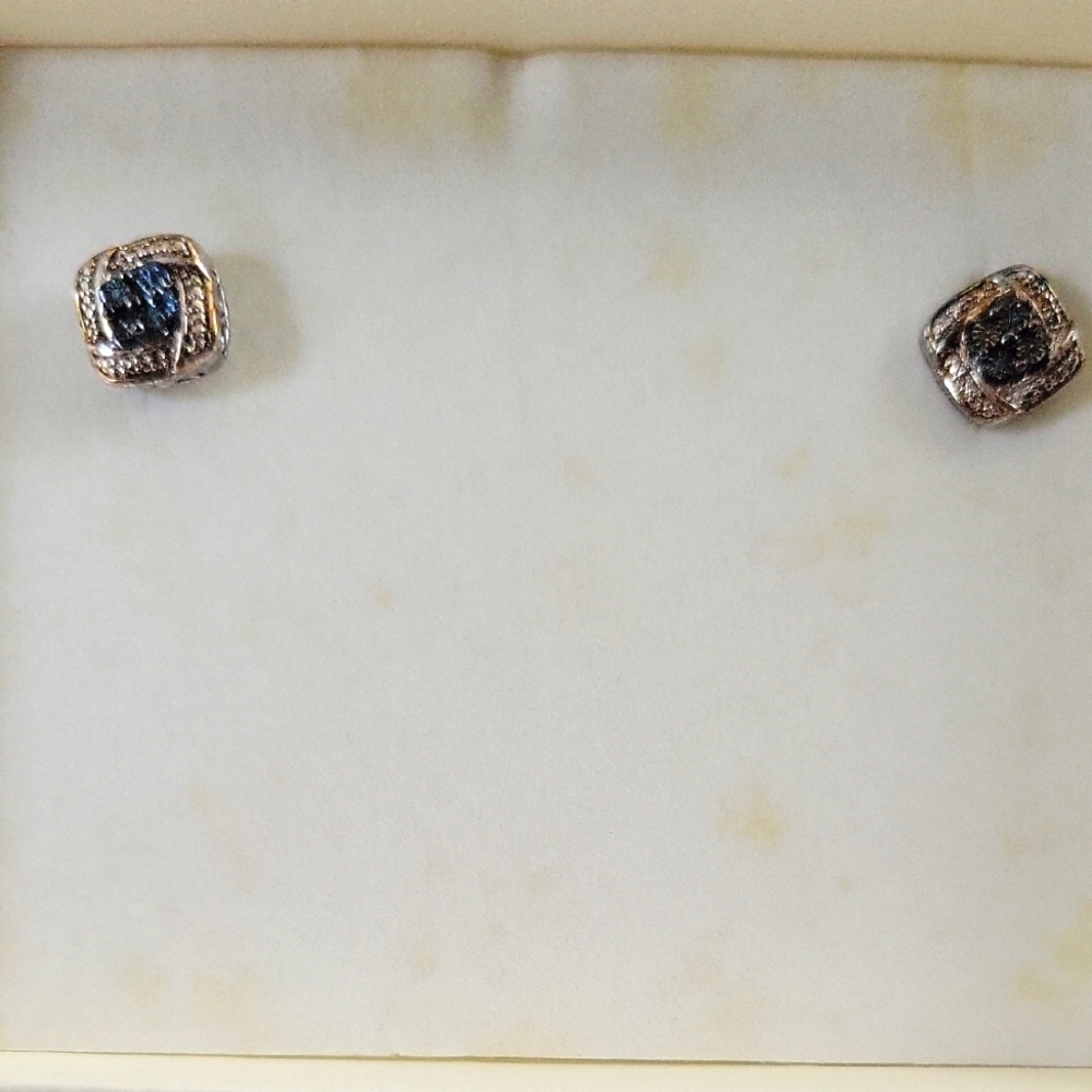 Elegant Silver and Blue Stud Earrings